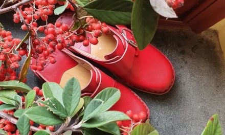 Sustainable Christmas Decorations From Your Garden