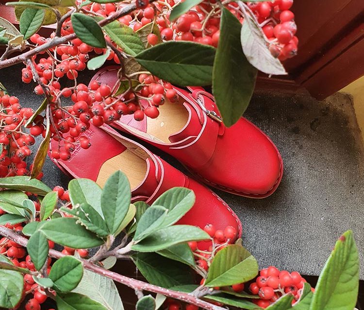 Sustainable Christmas Decorations From Your Garden