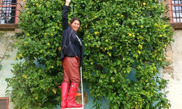 House Hunting In Italy  – Banishing Mold, the Lemon Way