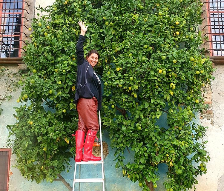 House Hunting In Italy  – Banishing Mold, the Lemon Way