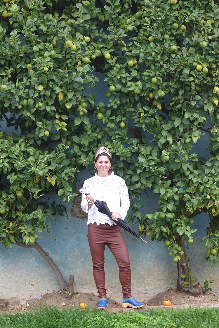 Caretti Clog lemon tree