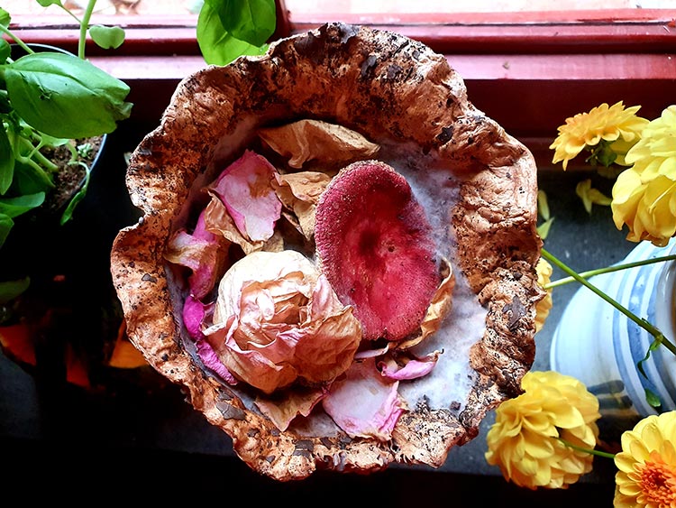 villa Buon Visi Tuscany Lucca