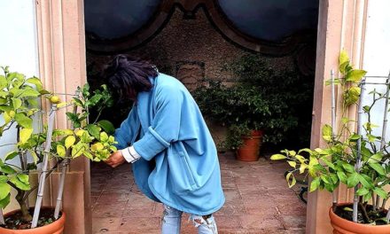 Fresh Content: Proof That Patio Is The Best Plan For Your Small Yard