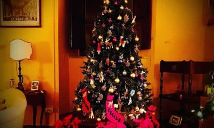 Christmas Tree Like A Cyprus Tree Decorating Tips