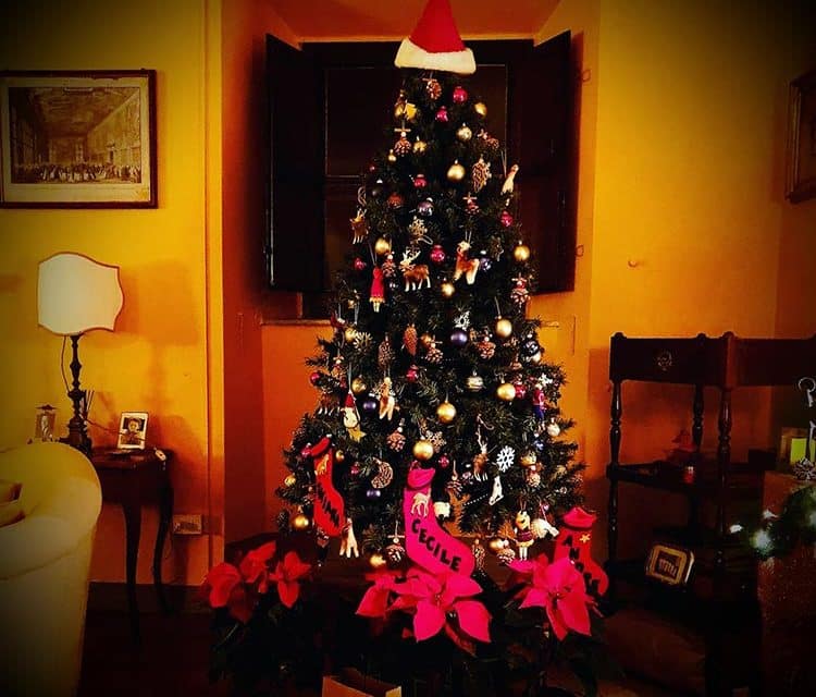 Christmas Tree Like A Cyprus Tree Decorating Tips