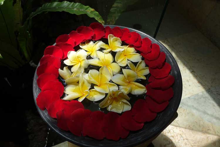 Rose petal spa and wellness decorations gracie opulanza 2020 (2)