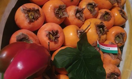 Persimmon Fruit – What To Use Them For