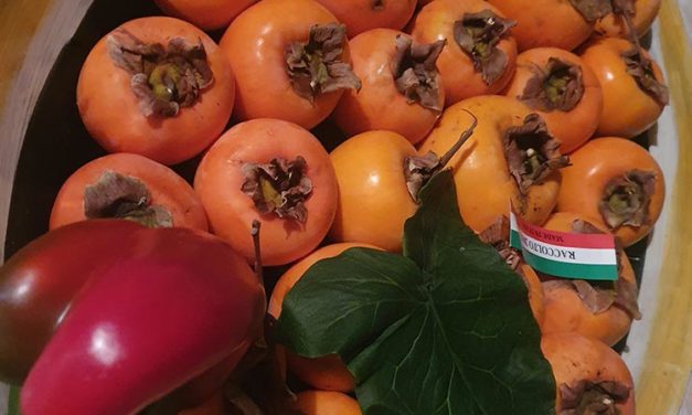 Persimmon Fruit – What To Use Them For