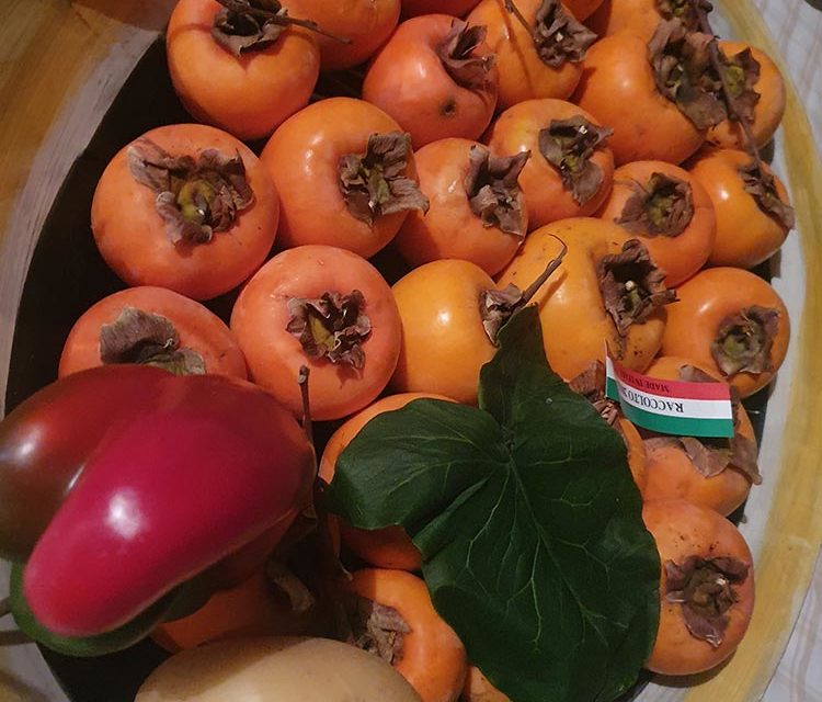 Persimmon Fruit – What To Use Them For