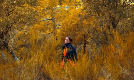 The Return Of Luxury Wool Prét-A-Couture