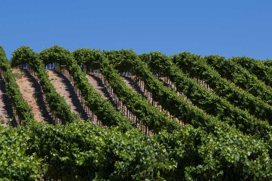 Tips to Enjoy Life to the Fullest