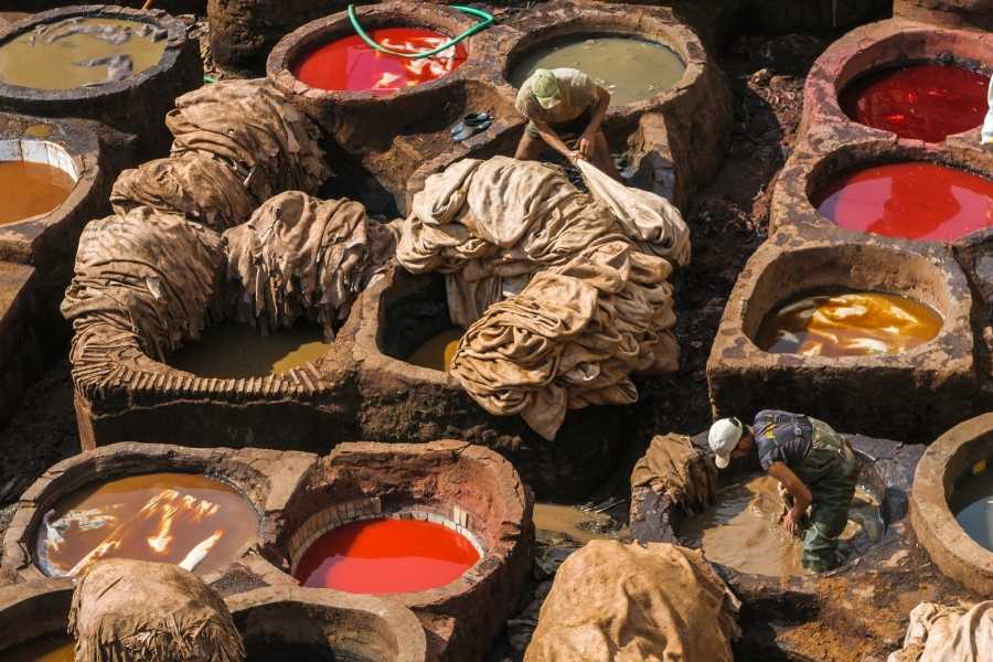 Chouara tannery during a trip to Fes in Morocco leather pits for dying