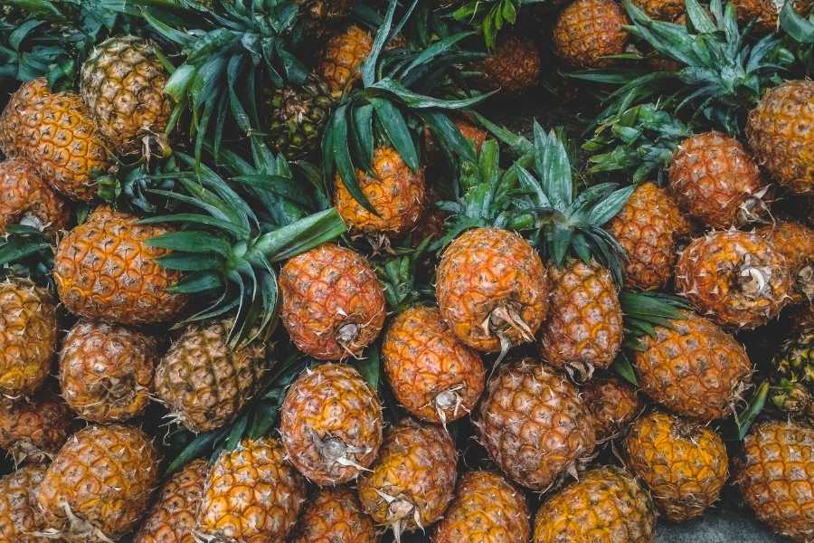 Fruit vegan leather Pineapple