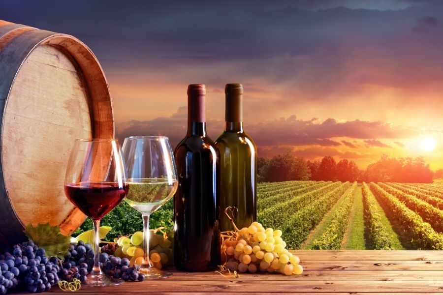 Vigea Milan Italy Vegan leather Tuscany