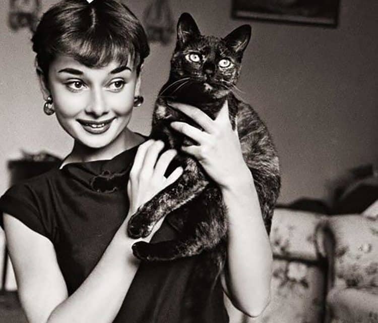 Chic and Sophisticated -How to Copy Audrey Hepburn’s Style