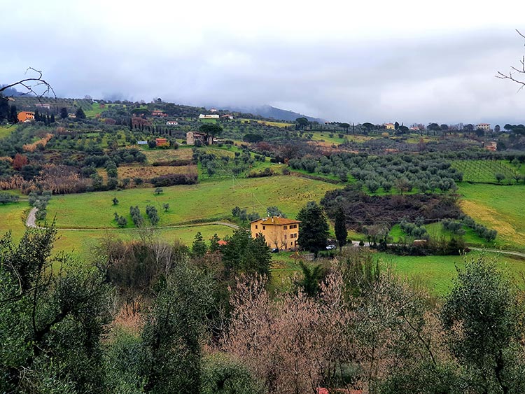 Tuscany Italy green Gracie Opulanza 2021 (3)