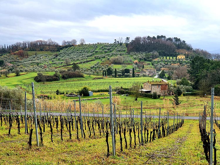 Tuscany Italy green Gracie Opulanza 2021 (3)