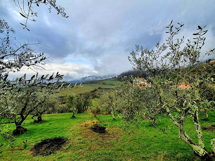 Tuscany Italy green Gracie Opulanza 2021 (3)