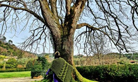 Moss Green – How To Wear Moss Green Style Tips