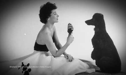 How To Wear a Poodle Skirt