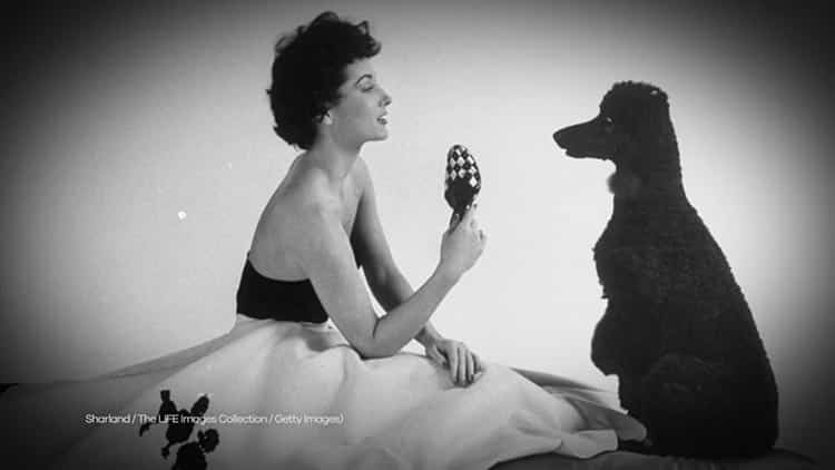 How To Wear a Poodle Skirt