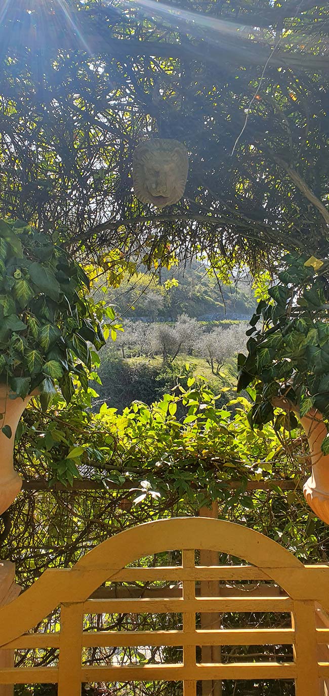 garden Tuscany italy