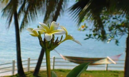 St. Vincent  – Why Buy In The Grenadines?