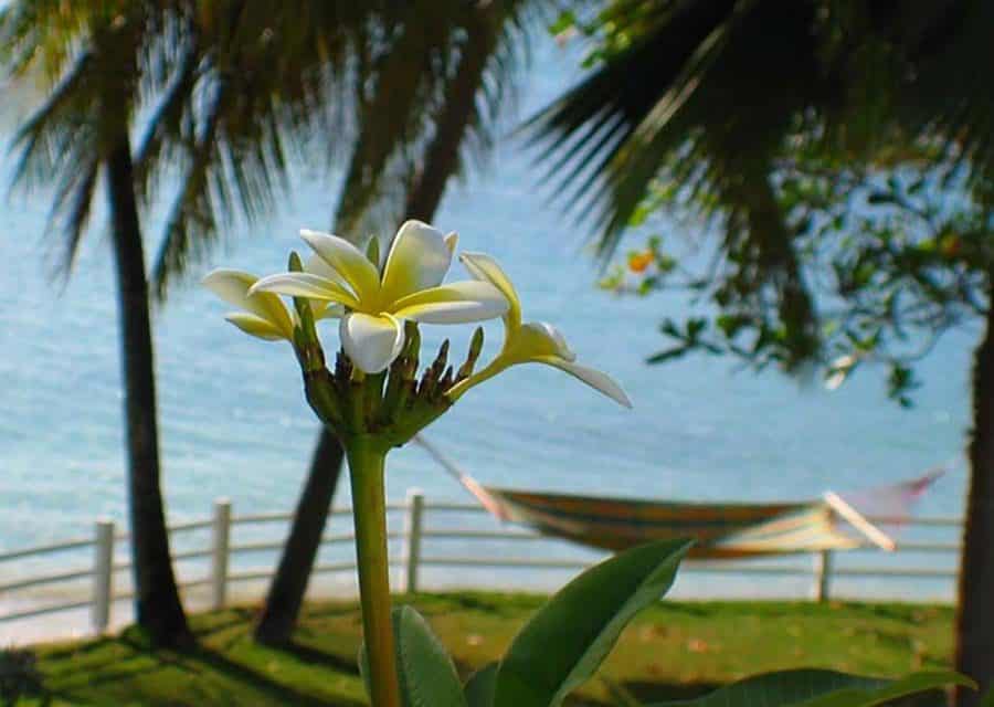 St. Vincent  – Why Buy In The Grenadines?