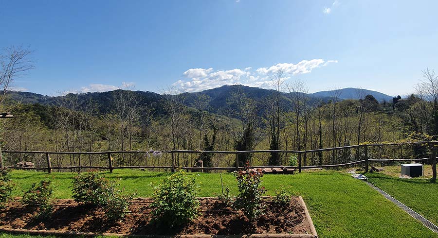 Tuscan Modern Villa - Why Buy A Modern Villa for sale Gracie Opulanza 2021 (13)