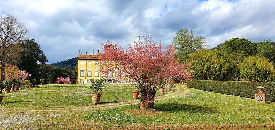 Old villa Lucca Tuscany