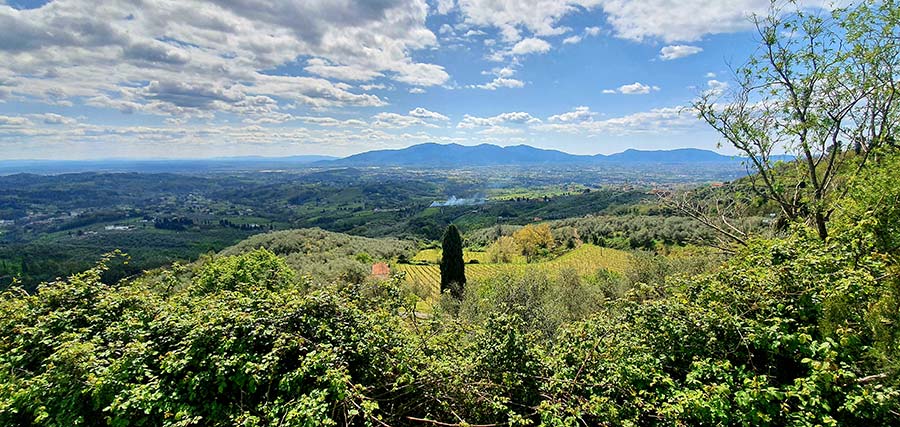 Lucca Tuscany Italy Gracie Opualnza