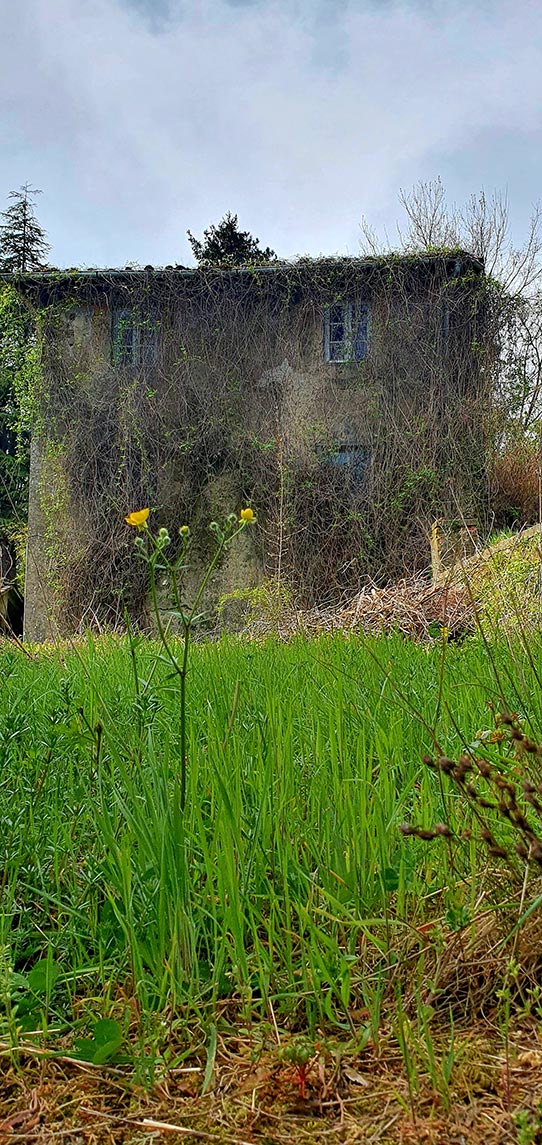 The Pleasing Antique Italian Interior Design Guide