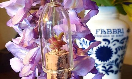 Plant Based Jewellery – What Does This Mean?