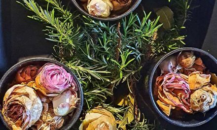 Wellness – Dried Roses Gift Ideas