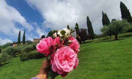 Frustration Tips – How To Defeat Anxiety In Your Home