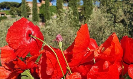 Naked – Why Walk Outside Naked?