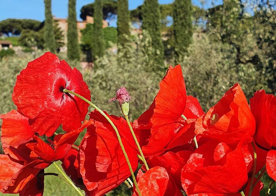 Naked – Why Walk Outside Naked?