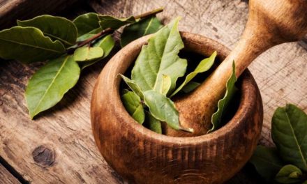 Covid19 Survival Tip – Herbs, Pray & Essential Oil Tips