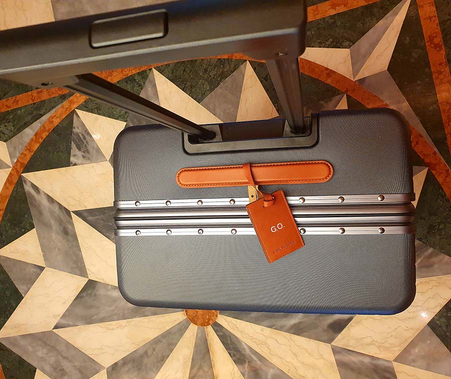 carl friedrick check in luggage