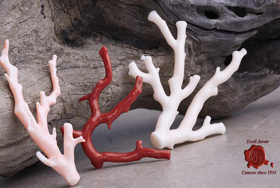 blog-corallo-rosso-come-riconoscerlo