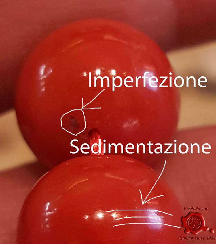 Coral Bamboo Malaysia