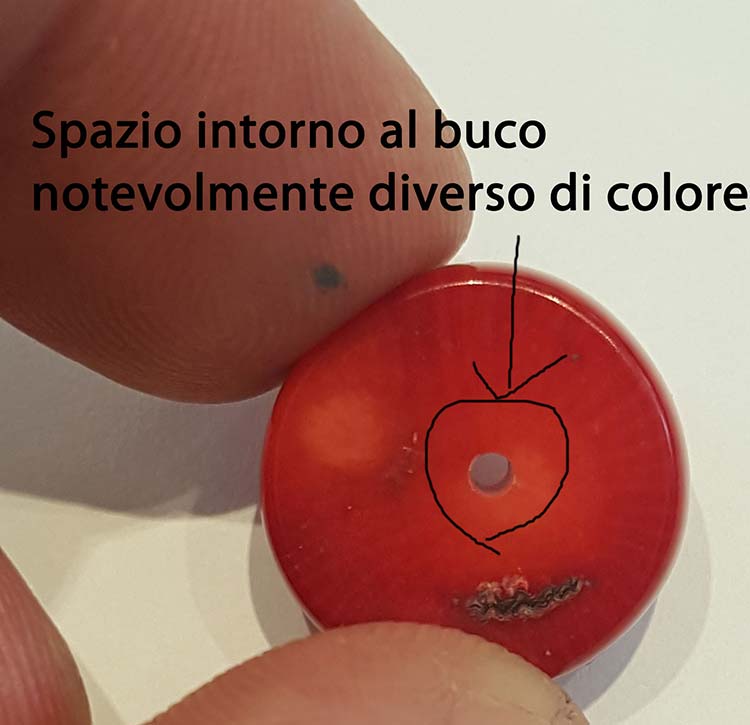 Coral Bamboo Malaysia