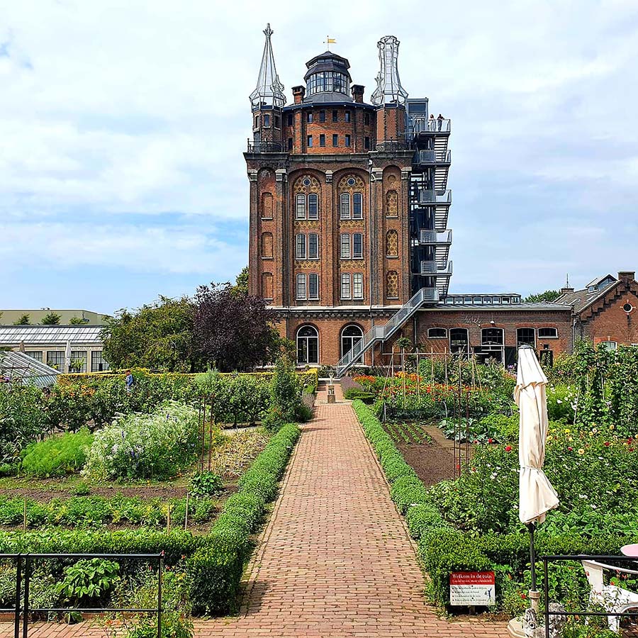 Dordrecht Augustus Cafe