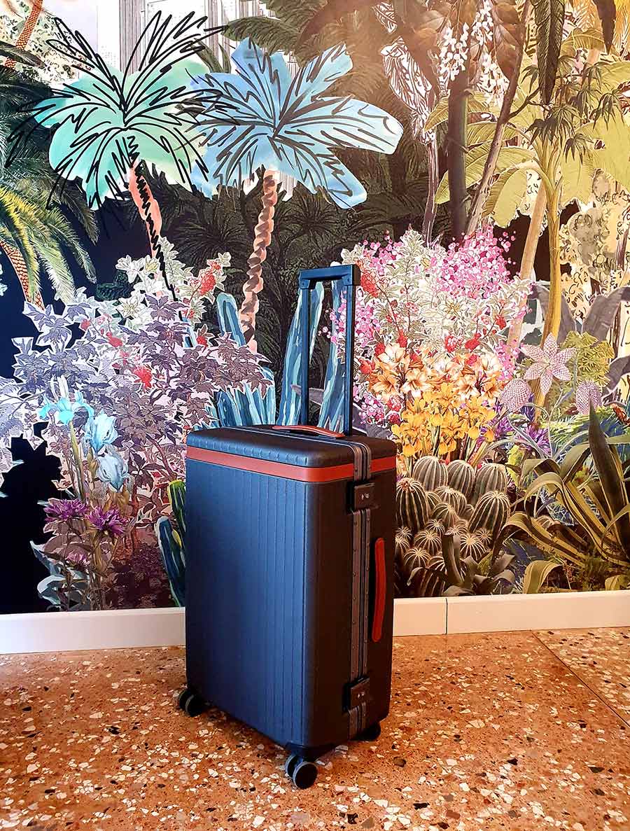 carl friedrick check in luggage