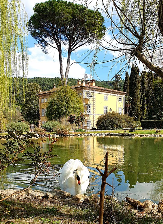 Swan-Villa-Tuscany-lake