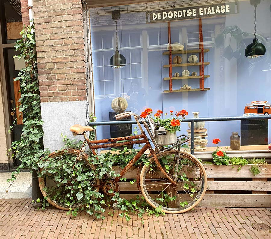 Bike and Flowers