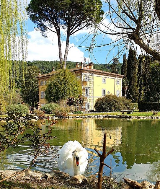 Swan lake Tuscany Villa for sale