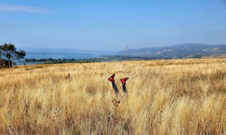 Americans Embrace Comfort and Style with Red GO Hiking Boots in Italy