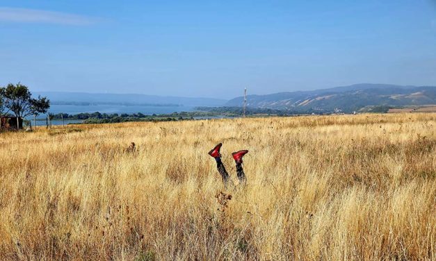 Americans Embrace Comfort and Style with Red GO Hiking Boots in Italy