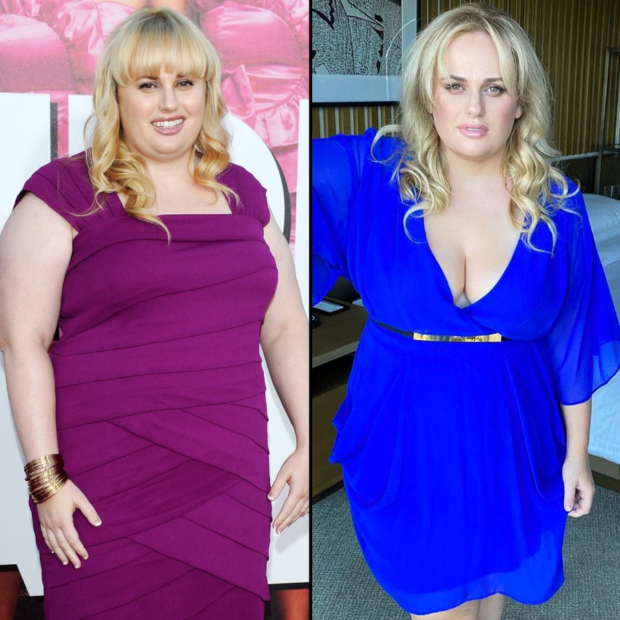 Rebel-Wilson-Transformation-Through-the-Years-Landing